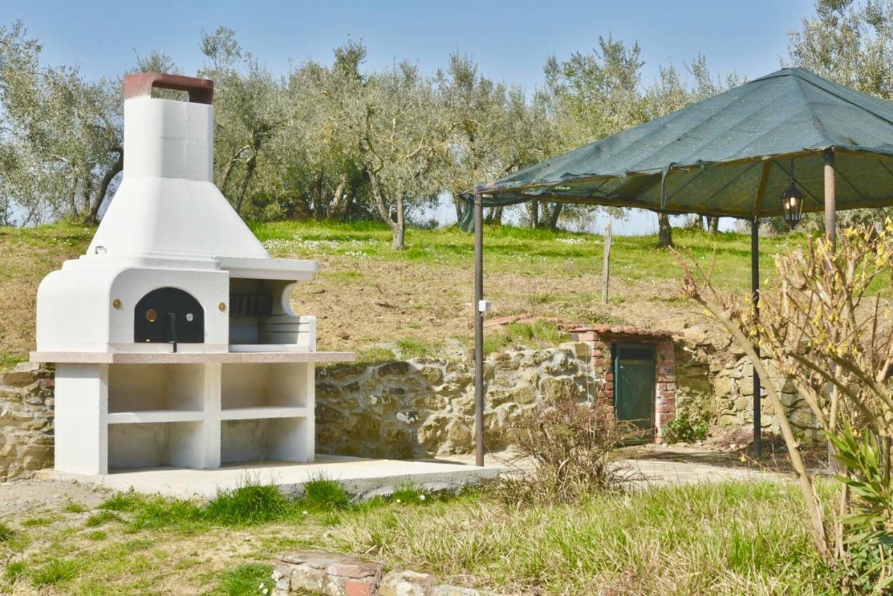 Agriturismo I Poggilunghi 시비텔라인발디키아나 외부 사진